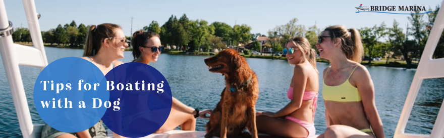 tips for boating with a dog